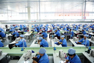 万亿蓝海 互联网服务市场的崛起与未来